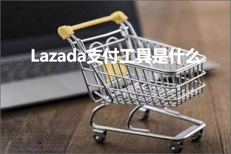 有百度推广的网站 跨境电商知识:Lazada支付工具是什么